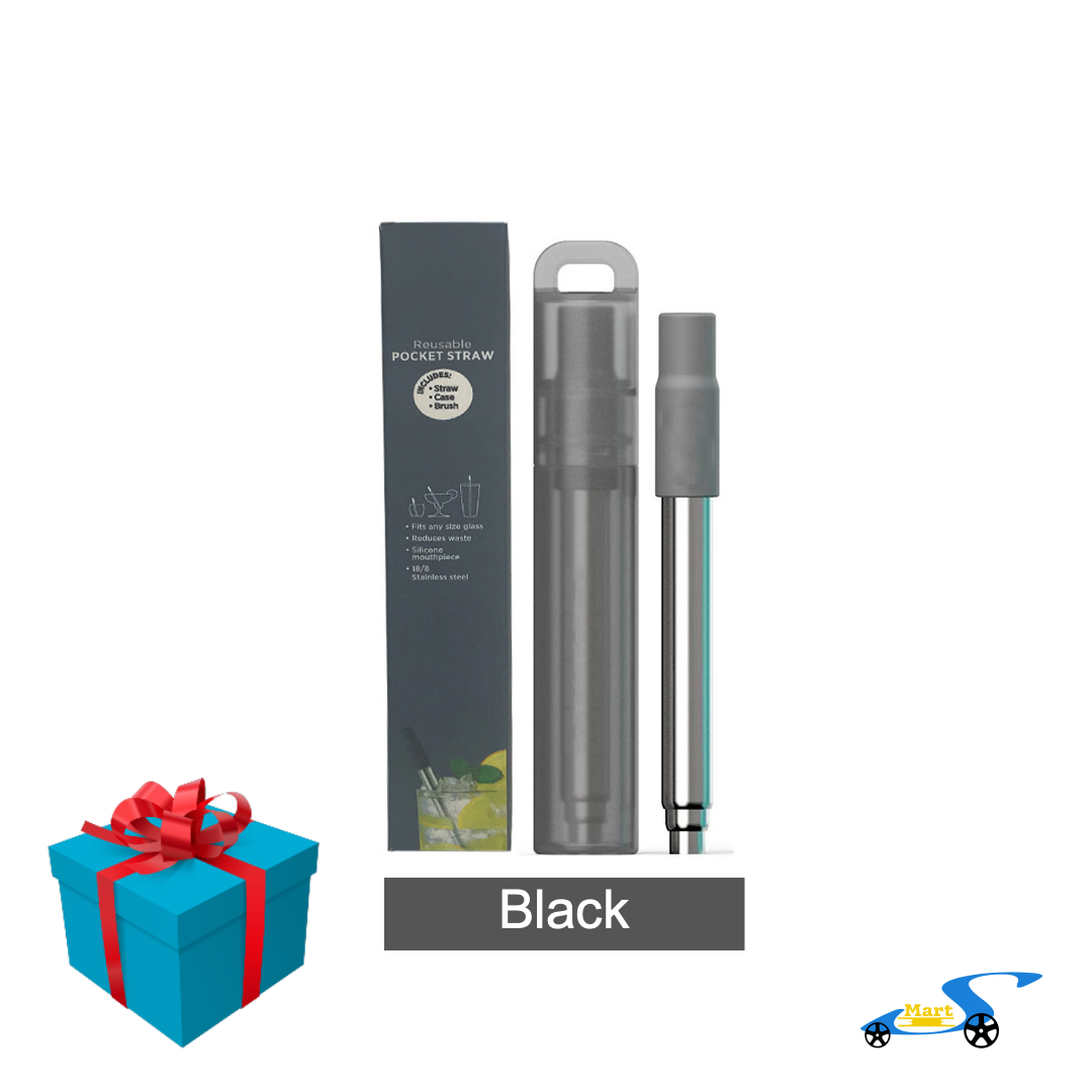 Local Seller Ready Stocks Portable Reusable Stainless Steel Straw