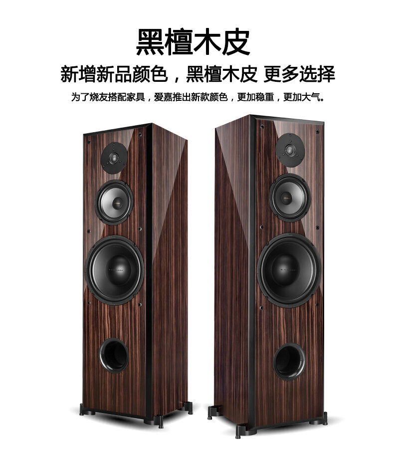 Aijia K1003 Uses Huiwei SS10 Q2 Speaker Fever HiFi Speaker High Fidelity Audio 10-Inch Floor Box
